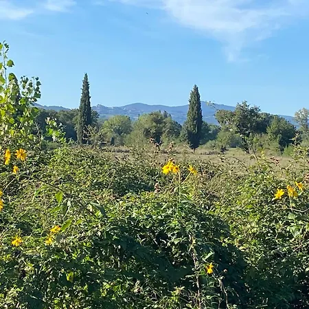 Il Casale Delle Rose Paganico (Grosseto)