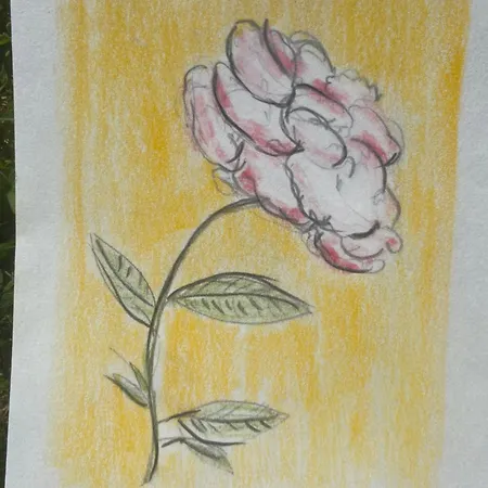 Aparthotel Il Casale Delle Rose Paganico (Grosseto)