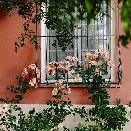 Il Casale Delle Rose Civitella Paganico