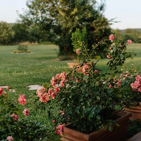 Il Casale Delle Rose Paganico (Grosseto)