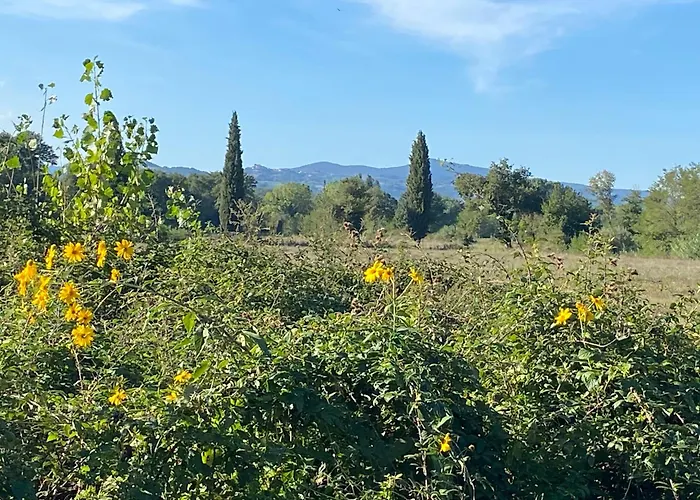 Il Casale Delle Rose Civitella Paganico