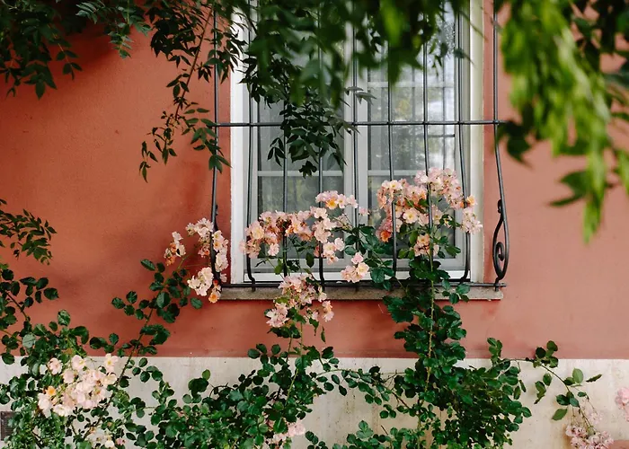Il Casale Delle Rose Civitella Paganico